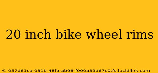 20 inch bike wheel rims
