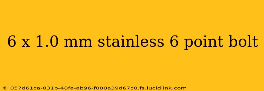 6 x 1.0 mm stainless 6 point bolt