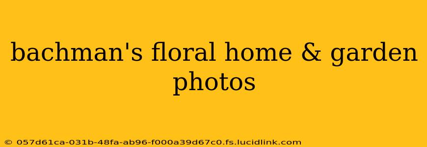 bachman's floral home & garden photos