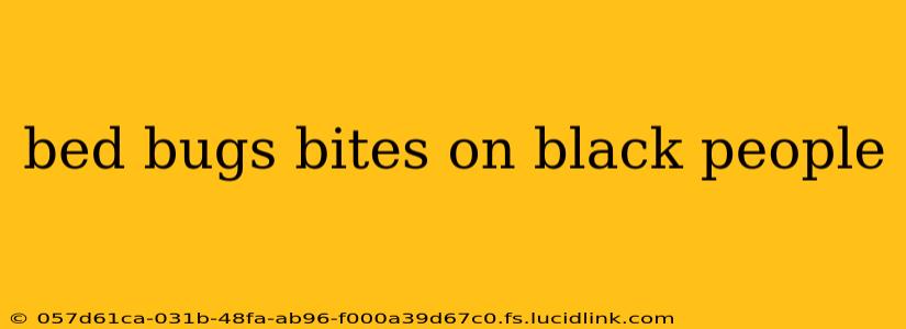bed bugs bites on black people