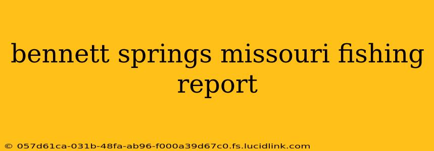 bennett springs missouri fishing report