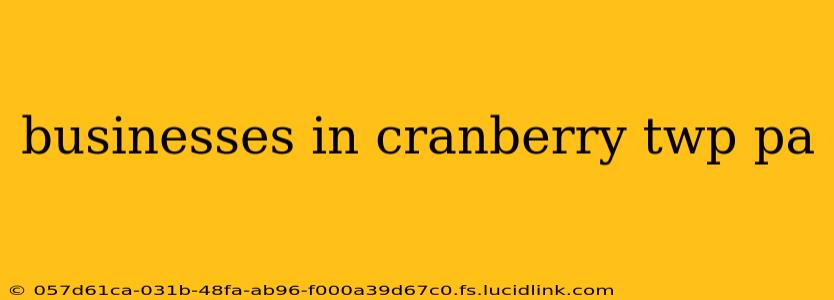 businesses in cranberry twp pa