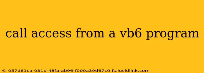 call access from a vb6 program