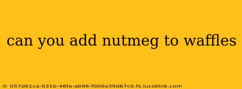 can you add nutmeg to waffles