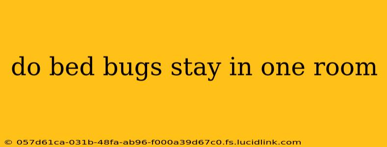 do bed bugs stay in one room