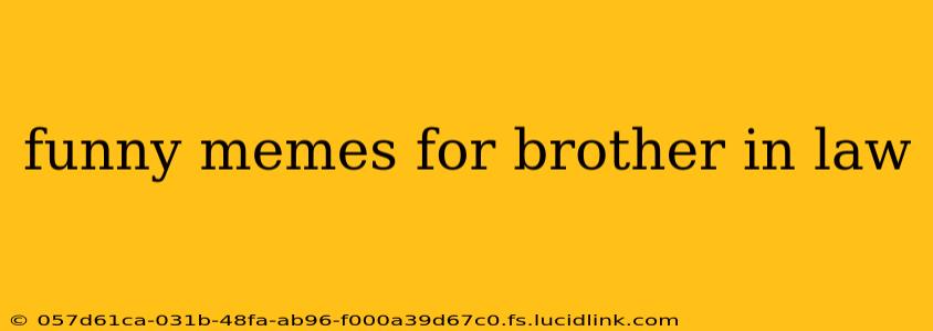 funny memes for brother in law