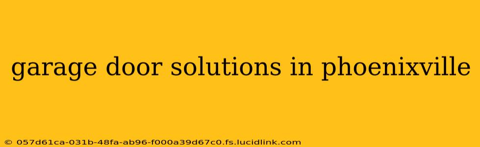 garage door solutions in phoenixville