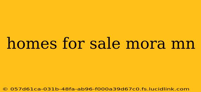 homes for sale mora mn
