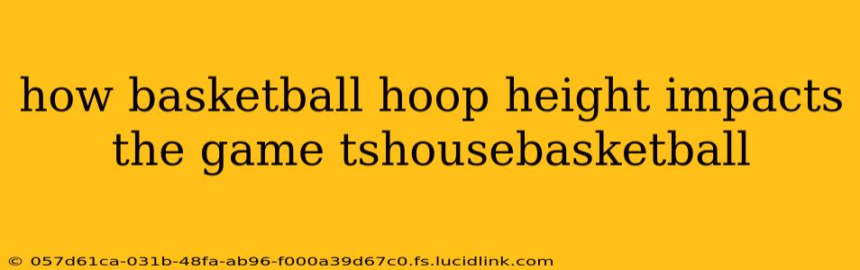 how basketball hoop height impacts the game tshousebasketball