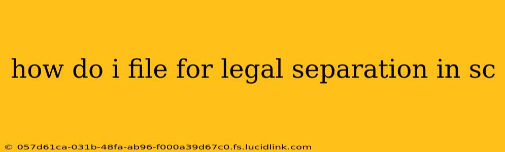 how do i file for legal separation in sc
