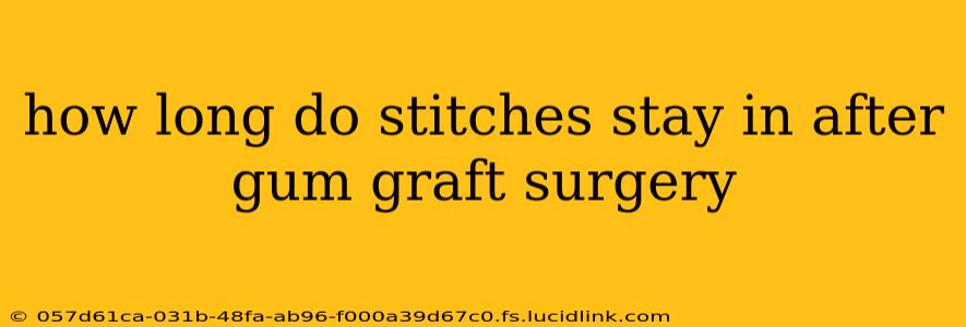 how long do stitches stay in after gum graft surgery