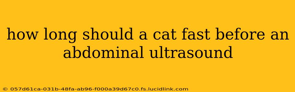 how long should a cat fast before an abdominal ultrasound