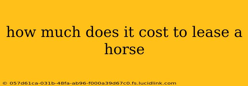 how much does it cost to lease a horse