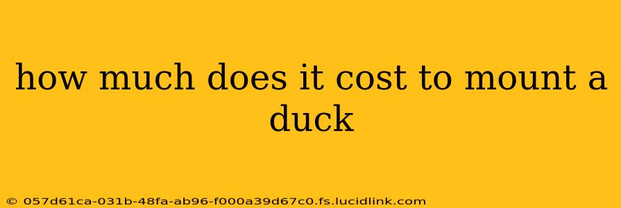 how much does it cost to mount a duck