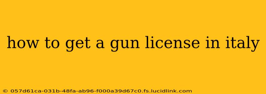 how to get a gun license in italy