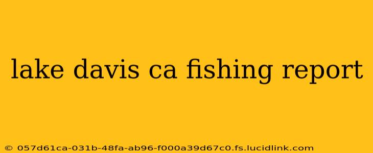 lake davis ca fishing report