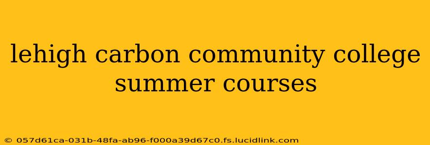 lehigh carbon community college summer courses