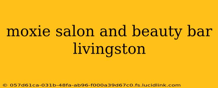 moxie salon and beauty bar livingston