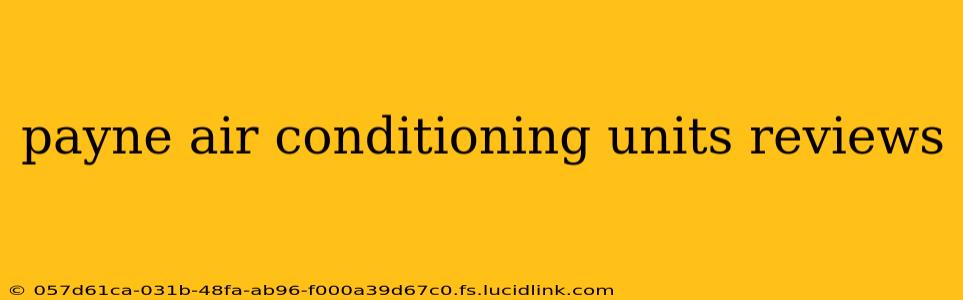 payne air conditioning units reviews