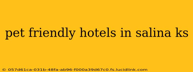 pet friendly hotels in salina ks