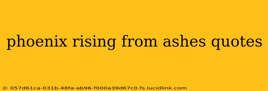 phoenix rising from ashes quotes