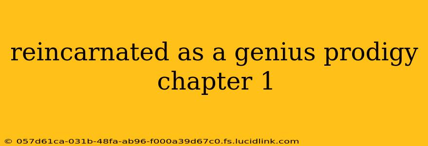 reincarnated as a genius prodigy chapter 1