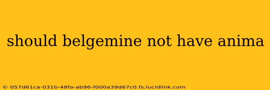 should belgemine not have anima
