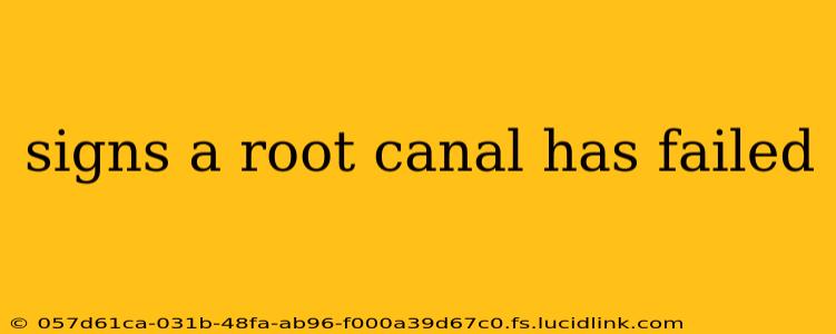 signs a root canal has failed