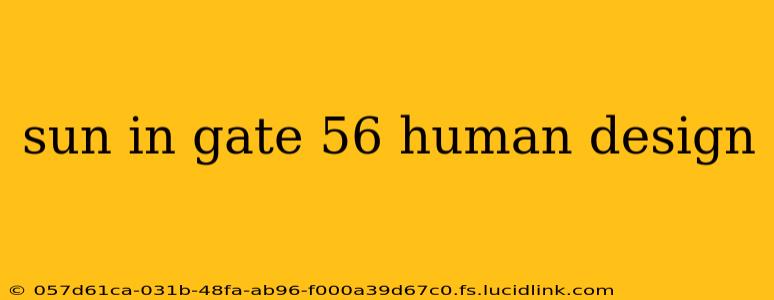 sun in gate 56 human design