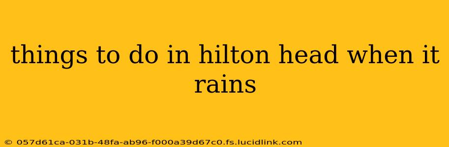 things to do in hilton head when it rains