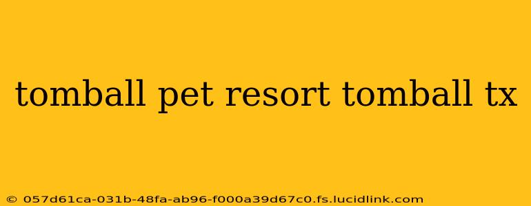 tomball pet resort tomball tx