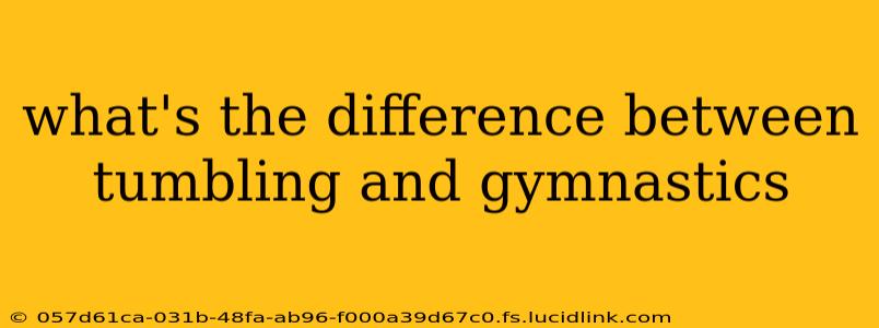what's the difference between tumbling and gymnastics