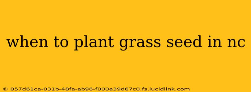 when to plant grass seed in nc