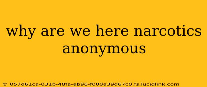 why are we here narcotics anonymous