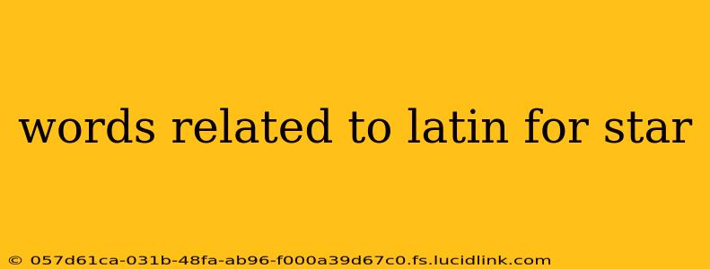 words related to latin for star